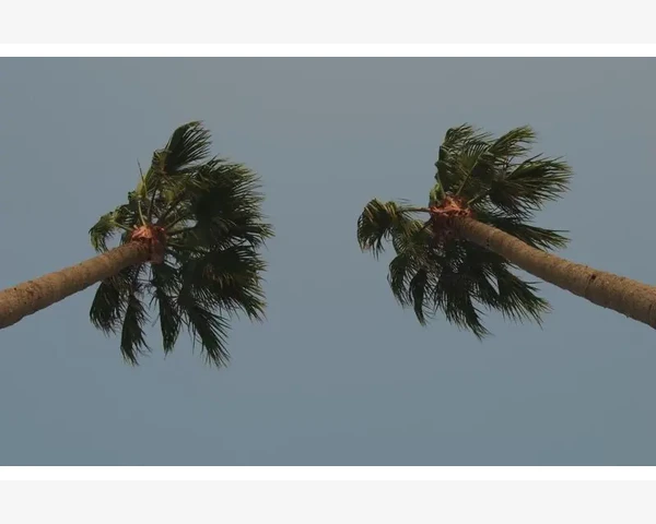 扁桃体化脓推拿：缓解疼痛的中医疗法