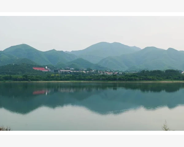 扁桃体化脓按摩：中医理论与实践