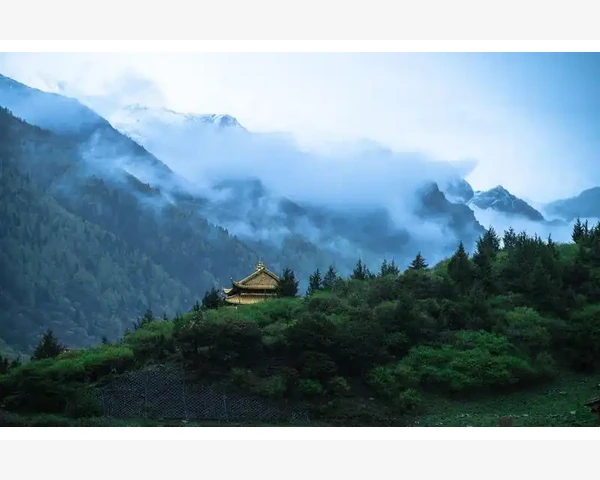 扁桃体化脓针灸穴位治疗的中医实践